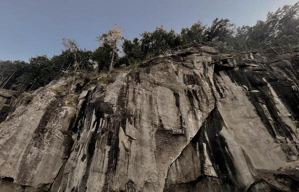 A rocky cliff, with grayish sandstone & black shale textures, adorned with a variety of trees at its summit, highlighting the contrast between bedrock earth & foliage.