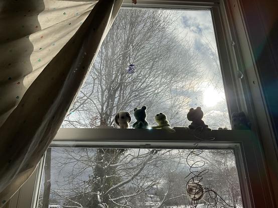 partially curtained window with needlefelted toys on sill, looking out on large tree, snowy golf course and grey cloudy sky