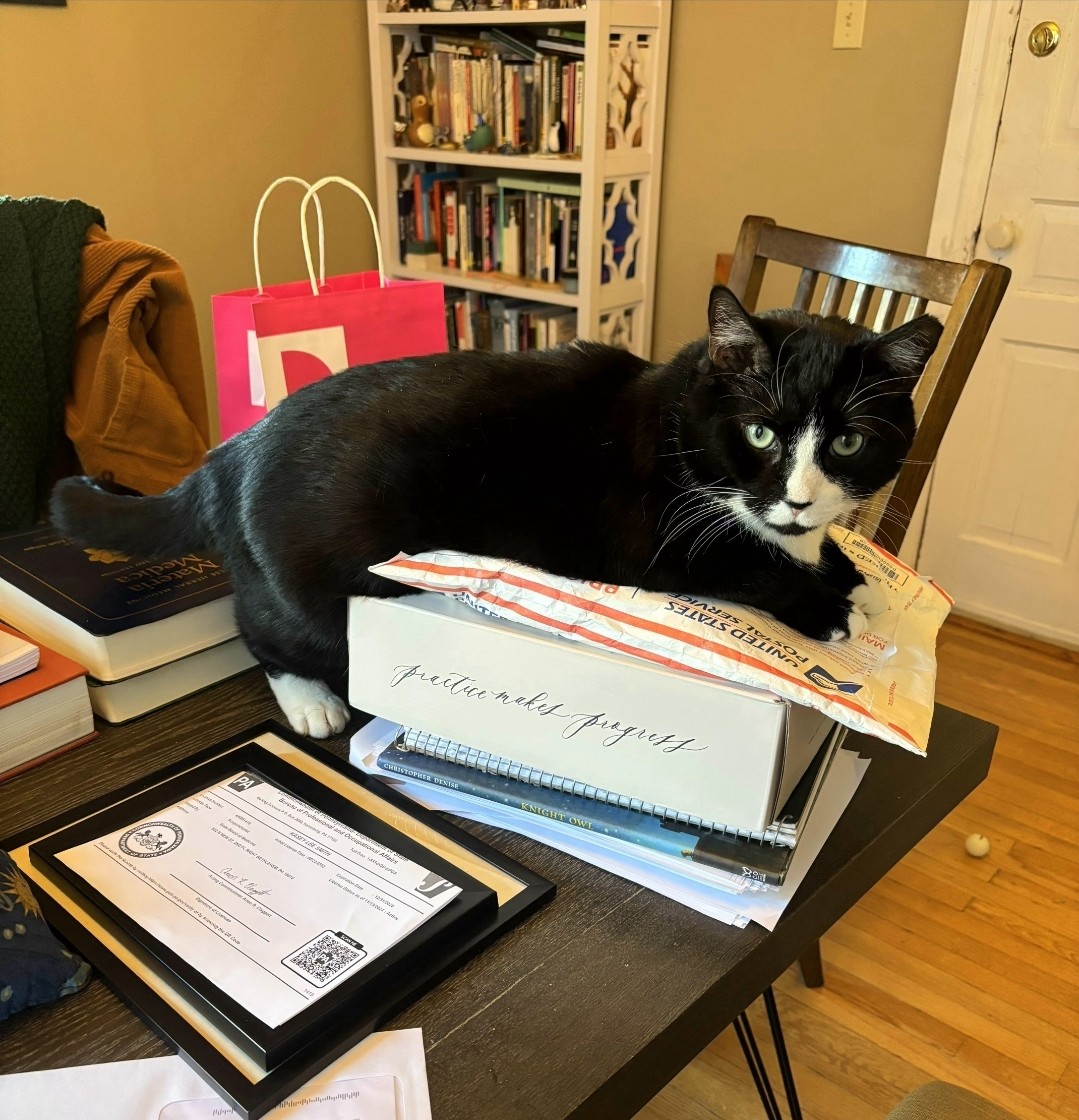 Big tuxedo cat lying on a stack of boxes and envelopes on a table.