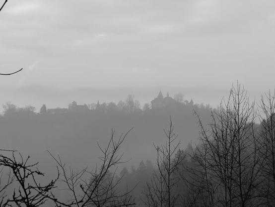 View to the Kyburg castle near Winterthur, Switzerland, with a little bit of fog surrounding it. Some tree tops are visible clearly in front of it.