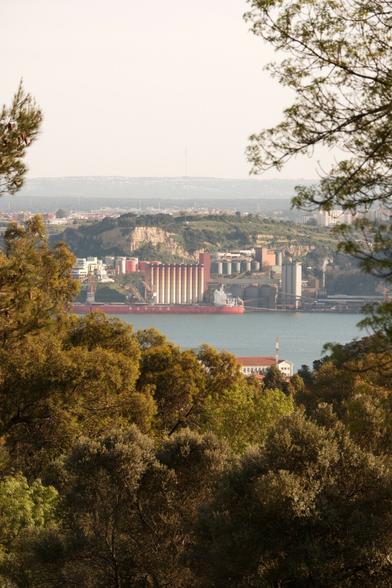 View of a terminal for liquid fuels, located on the south bank of the river, as seen from Monsanto, with some branches and trees framing the picture. The deposits are a painted in yellow and red tones. A red cargo ship is docked at the terminal.