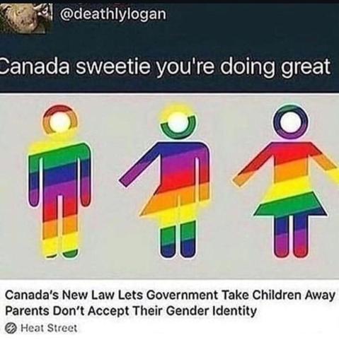 Headline: Canada's new law lets government take children away if parents don't accept their gender identity
Comment: Canada sweetie you're doing great!