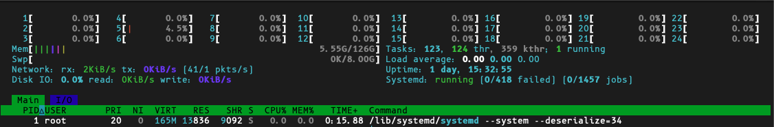 Screenshot von htop/Server-Leistungsdaten