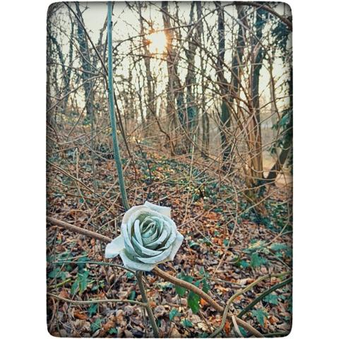 Eine Stoffrose (mit Plastikteilen) wurde in einen Busch gesteckt. Direkt daneben steht ein Mülleimer (nicht auf dem Foto zu sehen, aber als Info)