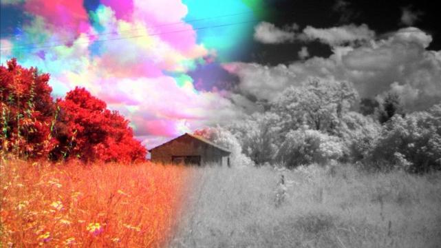 Colour vs. Black and white.