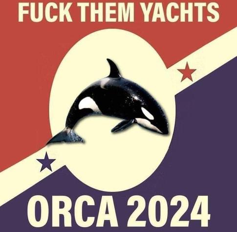 Campaign poster depicting a killer whale (orca). 
Text: Fuck them yachts. Orca 2024.