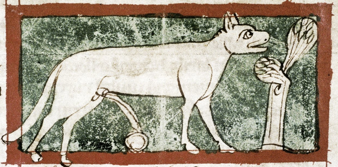 Drawing from a 13th century bestiary showing a lynx peeing and creating the stone lyngurium.