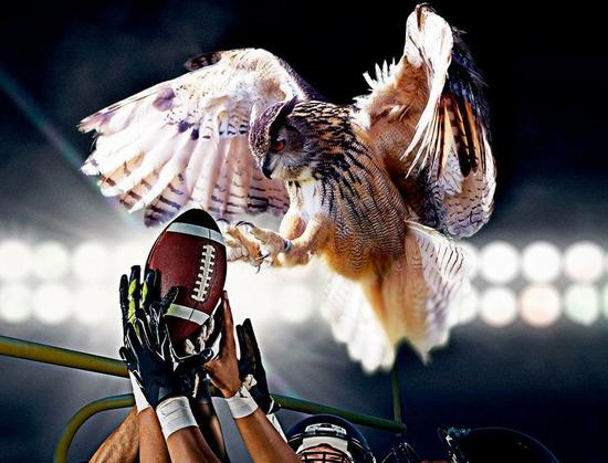 An owl with wings spread and talons extended to seize a football from the outstretched hands of players, stadium light and goalpost in background.
