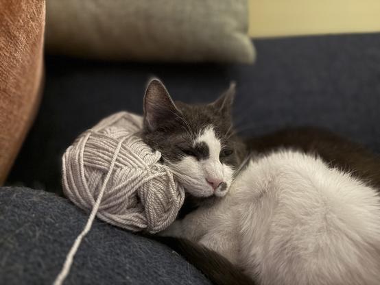 A tuxedo colored cat leaning sleepily against a ball of off white yarn as if it is a pillow.