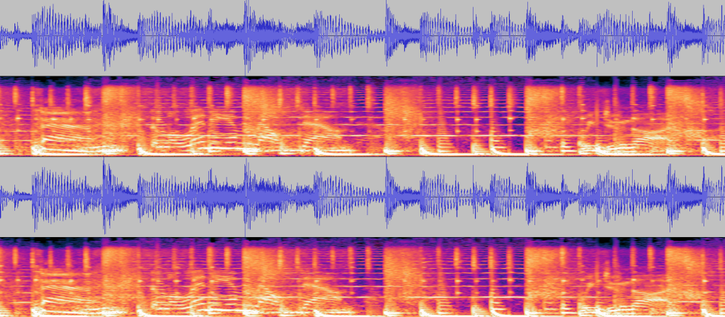 A snippet of audio as shown in Audacity. The image shows the audio's waveform and spectograph.
