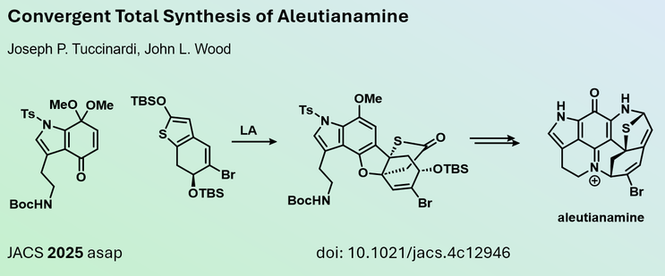 Convergent Total Synthesis of Aleutianamine
Joseph P. Tuccinardi, John L. Wood
JACS 2025 asap  doi: 10.1021/jacs.4c12946
