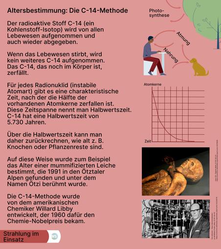 Altersbestimmung: Die C-14-Methode

Der radioaktive Stoff C-14 (ein
Kohlenstoff-Isotop) wird von allen
Lebewesen aufgenommen und 
auch wieder abgegeben.

Wenn das Lebewesen stirbt, wird
kein weiteres C-14 aufgenommen.
Das C-14, das noch im Körper ist,
zerfällt.

Für jedes Radionuklid (instabile 
Atomart) gibt es eine charakteristische
Zeit, nach der die Hälfte der 
vorhandenen Atomkerne zerfallen ist. 
Diese Zeitspanne nennt man Halbwertszeit.
C-14 hat eine Halbwertszeit von
5.730 Jahren. 

Über die Halbwertszeit kann man 
daher zurückrechnen, wie alt z. B.
Knochen oder Pflanzenreste sind.

Auf diese Weise wurde zum Beispiel
das Alter einer mummifizierten Leiche
bestimmt, die 1991 in den Ötztaler
Alpen gefunden und unter dem
Namen Ötzi berühmt wurde.

Die C-14-Methode wurde
von dem amerikanischen 
Chemiker Willard Libby 
entwickelt, der 1960 dafür den 
Chemie-Nobelpreis bekam.