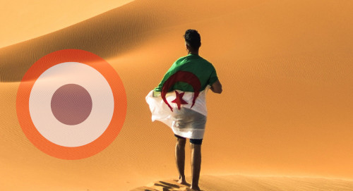 Gerboise bleu - Sahara algérienne