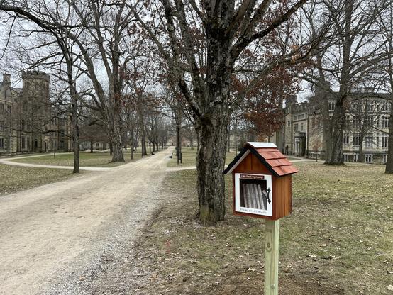 The Little Free Energy Library (see prior descriptions) is to the right with Gothic revival buildings visible to the far right and far left. A packed dirt path runs down the middle, with bare trees lining it. The sky is a fairly undifferentiated overcast grey