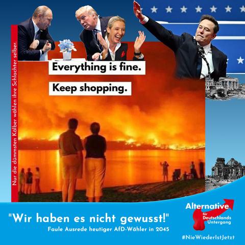 Oben tuscheln Trump und Putin einander zugewandt über blauer Blume, Weidel lacht händeklatschend und Musk macht den Hitler-Gruß über alle.

Darunter großes Bild:
Menschen stehen am Strand und schauen ans andere Ufer, dort wütet ein Flammen-Inferno.
Text über dem Feuer:
Everything is fine. Keep shopping.

Unter Musk Fotos von nach dem ersten Weltkrieg: Schutt und zerstörtes Auto am Brandenburger Tor, zerbombter Reichstag. 

Hintergrund AfD-blau.
Roter Seitenbalken: Nur die dümmsten Kälber wählen ihre Schlachter selber.
Fußzeile: "Wir haben es nicht gewusst!" Faule Ausrede heutiger AFD Wähler in 2045.