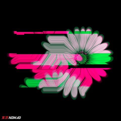 Glitch art of a flower. There's a double exposure effect with neon green and pink horizontal bars. Some of the petals are stretched and distorted in very controlled and geometric ways