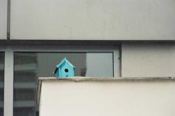 A light blue wooden bird house on a canopy that looks like a balcony.  The background is a greyish house panel and window.