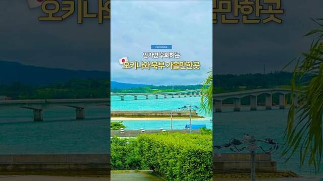 이거 하나면 오키나와 북부여행 끄읏🇯🇵 #오키나와 #오키나와여행 #여행 #여행꿀팁 #일본 #일본여행 #japan #okinawa #travel #shorts