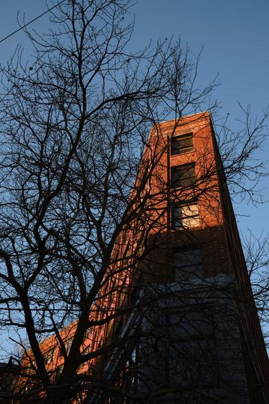 A tall building can be seen in front of a tree without leaves. The building is in shadow with part of it in dramatic orange light from the sun.