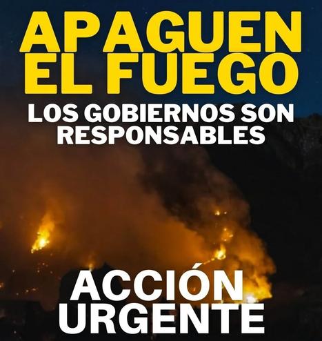 ¡Apaguen el fuego ya!