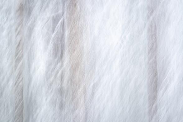 Abstract image of snowy trees