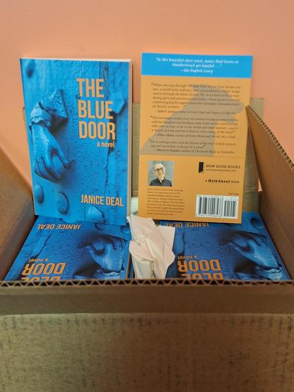 Copies of THE BLUE DOOR showing front and back covers