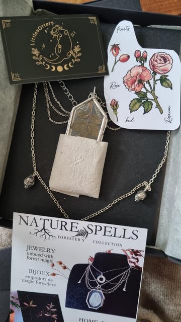 The packaging box of a necklace with a glass pendant showcasing a wild rose pressed leaf and wild rose fruits covered with 999 silver on the sides and a cascade of silvery chains. There's thecraftswoman' business card Nature Spells at the foot and wild roses stickers on top (flowers, leaves, buds, fruits) and the business card from their maker (LittlesOtters).
❉
Le coffret d'emballage d'un collier avec un pendentif en verre présentant une feuille pressée d'églantier et des fruits d'églantier recouverts d'argent 999 sur les côtés et une cascade de chaînes argentées. Il y a la carte de visite de l'artisane Nature Spells au pied et des autocollants de roses sauvages sur le dessus (fleurs, feuilles, bourgeons, fruits) et la carte de visite de leur créatrice (LittlesOtters).