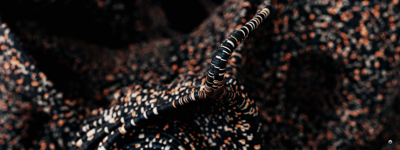 STRANDS III