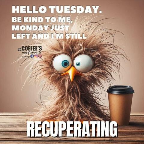 HELLO TUESDAY.

BE KIND TO ME,
MONDAY JUST LEFT AND I'M STILL

RECUPERATING