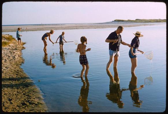 The photograph is a color transparency taken in 1955 during the late twentieth century, depicting people engaged in leisure activities at The Hamptons on Long Island. It features individuals participating in crabbing with nets and exploring shallow waters near sandy shores under clear skies.
Keywords: Leisure Activities, Sports Illustrated (magazine), Crabbing, Summer Destination