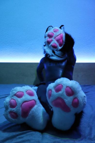 A person wearing a black dhb wetsuit and a black-and-white fursuit sits on a bed with their legs stretched out. Their large, fluffy white paws with pink pads are the main focus, positioned close to the camera. One paw is raised, partially covering their fursuit head. The room is dimly lit with a cool blue glow, creating a cozy and futuristic atmosphere.