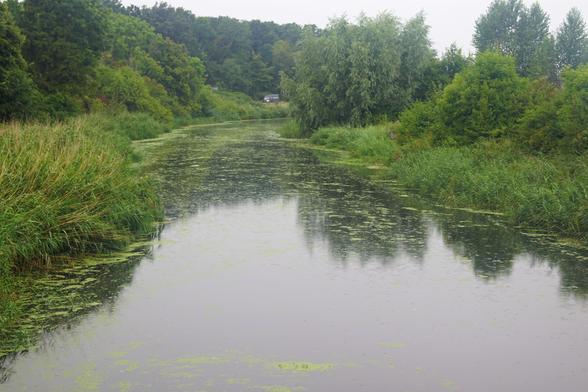 photo - Tryggevælde Å wetland near Solgårdsparken, Denmark