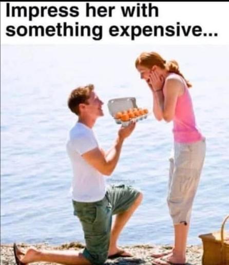 Meme showing a young man and a young woman on a beach, with the ocean behind them. He is kneeling before her, as if to ask her to marry him, and she is smiling and holding her face between her hands in surprise. 

He is offering her an open carton full of eggs (instead of a ring), and the meme text reads, "Impress her with something expensive."