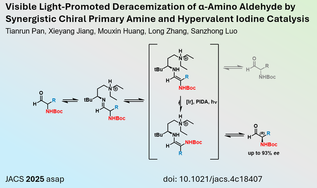 Visible Light-Promoted Deracemization of α-Amino Aldehyde by Synergistic Chiral Primary Amine and Hypervalent Iodine Catalysis

Tianrun Pan, Xieyang Jiang, Mouxin Huang, Long Zhang, Sanzhong Luo

JACS 2025 asap                                     		 doi: 10.1021/jacs.4c18407
