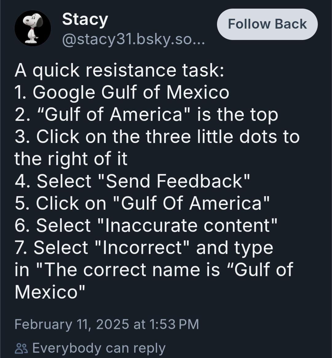 A quick resistance task: 1. Google Gulf of Mexico 2. “Gulf of America" is the top 3. Click on the three little dots to the right of it 4. Select "Send Feedback" 5. Click on "Gulf Of America" 6. Select "Inaccurate content" 7. Select "Incorrect" and type in "The correct name is “Gulf of Mexico"