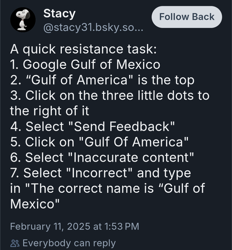 A quick resistance task:
1. Google Gulf of Mexico
2. “Gulf of America" is the top
3. Click on the three little dots to the right of it
4. Select "Send Feedback"
5. Click on "Gulf Of America"
6. Select "Inaccurate content"
7. Select "Incorrect" and type in "The correct name is “Gulf of Mexico"