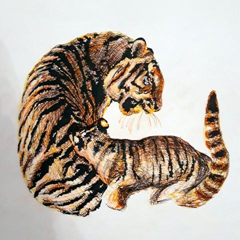 There's a tiger with its cub. The adult tiger has its back towards the viewer. It bends its upper body to the right, causing its face to be sideways towards the viewer. It's looking down at its cub and roaring. The cub is running over the adults tail towards the right. While its body is in focus, its paws are drawn in a blurry hazy way. To the right of the cub is the adult tigers tail. The tail is pointing upwards. The overall shape of the two tigers is almost like a circle. The image is drawn with coloured fineliner pens. The colours used are black, orange and yellow.