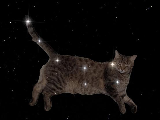 A photo of OP's cat superimposed on the Ursa Minor constellation.