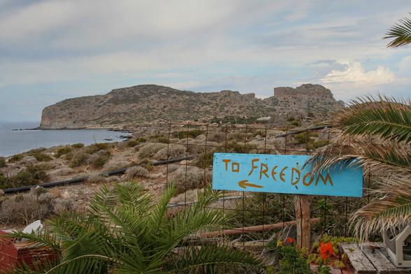 A coastal landscape featuring a rocky cliff in the background and a sign reading “TO FREEDOM” with an arrow pointing left. The foreground includes shrubs and palm leaves, creating a natural setting.