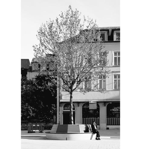 A woman sits on a bench under a tree on the Knuedler in Luxembourg city. The Sun enlightens her face ehile she's giving a phone call.