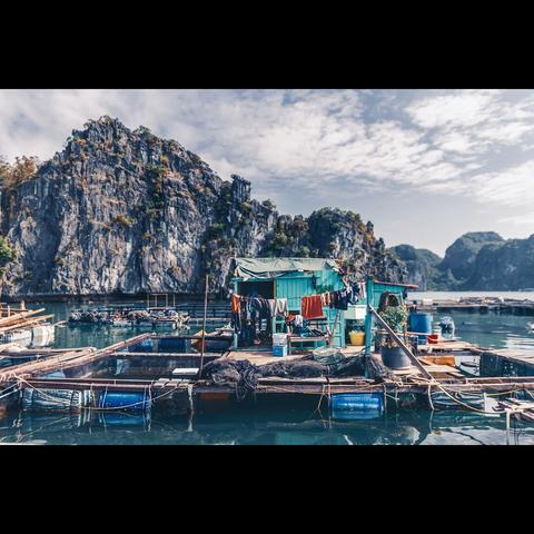 fisherman house on the Halong Bay , Vietnam