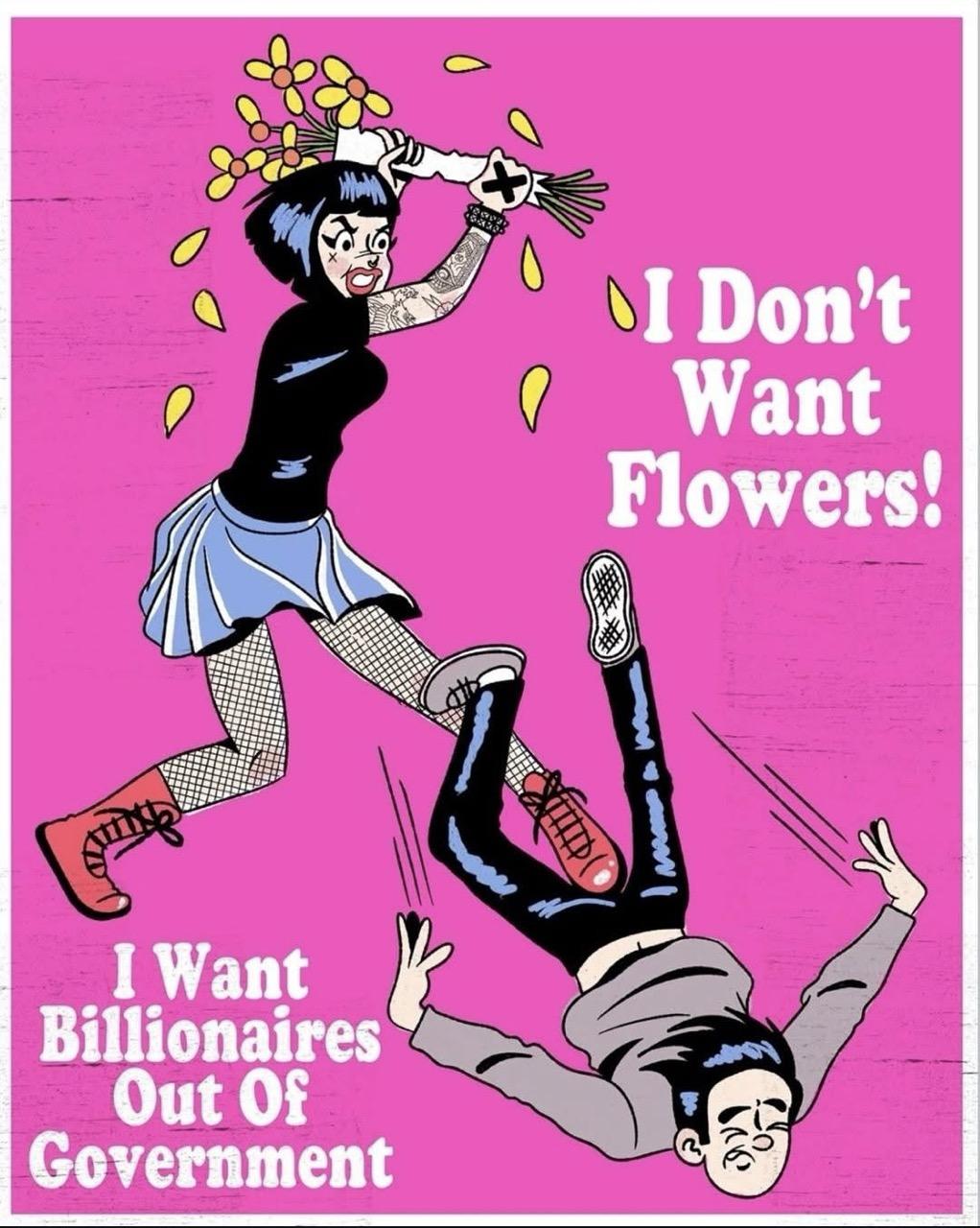 A frame from a comic. Two young adults appear to be fighting with one striking the other with a bunch of flowers while announcing “I Don't Want Flowers!  I Want Billionaires Out Of Government”