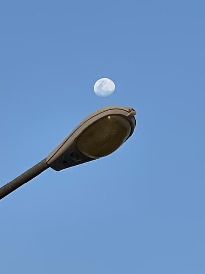 A picture of the moon at dusk, just above a street light.