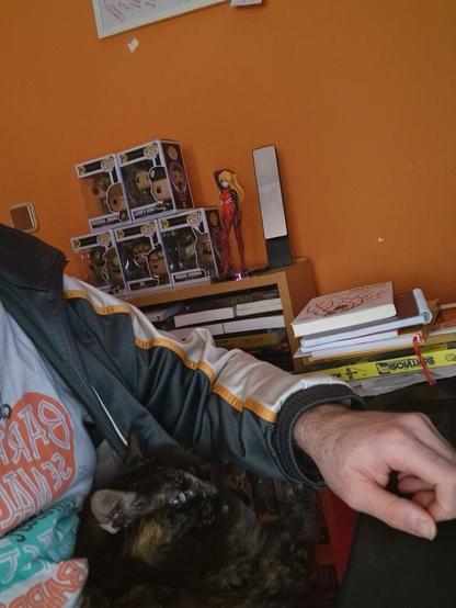 Foto en la que se medio torso y brazo de un humano (yo) con una gata en el regazo. La gata es de tipo carey con el pelo semilargo con el negro como color predominante. 

La gata parece estar mirando muy atenta a la pantalla de un monitor (que queda fuera de la foto)

Al fondo de la foto se ven muchos libros apilados en una estantería (mis pilas de la vergüenza) así como cinco funko de Stargate (la película) y una figura de Asuka con su tradicional traje rojo (Evangelion versión rebuild)