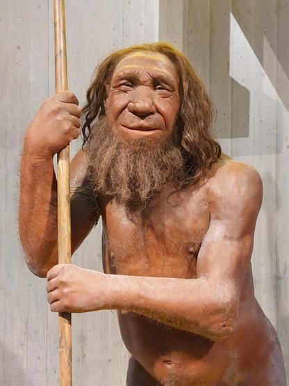 Nachbildung eines Neanderthalers aufgrund von Knochenfunden, er ist nackt dargestellt, damit man die Körperproportionen erkennen kann und hält mit beiden Händen einen langen Holz-Speer, auf den er sich gleichzeitig etwas stützt. Sein linker Unterarm lässt einen Knochenbruch erahnen, der nicht verheilt ist. Seine Haut ist Braun, Kopf und Barthaar sind braun-grau und lang und etwas zottelig. Er scheint zu lächeln.