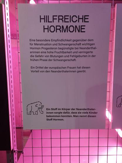 Weiße Texttafel mit schwarzer Schrift vor rosa Ausleuchtung.

Hilfreiche Hormone
Eine besondere Empfindlichkeit gegenüber dem für Menstruation und Schwangerschaft wichtigen Hormon Progesteron begünstigte bei Neanderthalerinnen eine hohe Fruchtbarkeit und verringerte die Gefahr von Blutungen und Fehlgeburten in der frühen Phase der Schwangerschaft. Ein Drittel der europäischen Frauen hat diesen Vorteil von Neanderthalerinnen geerbt.

Kurzer Text in Fettdruck neben einer Mammutzeichnung.
Ein Stoff im Körper der Neanderthalerinnen sorgte dafür, dass sie viele Kinder bekommen konnte. Man nennt diesen Stoff Hormon.