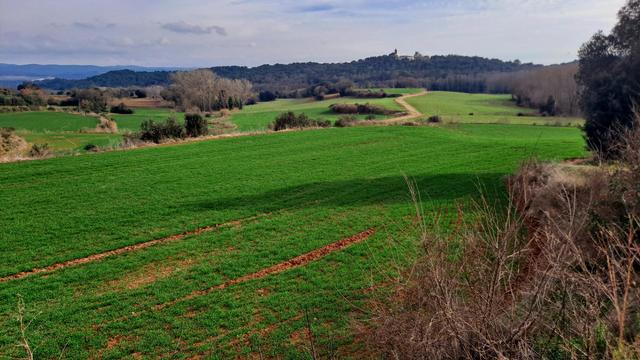 Vista de camps verds, al fons un turonet coronat per l'església de Cartellà