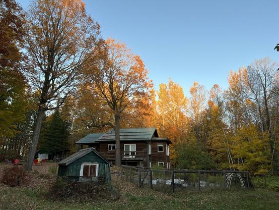 A rustic wooden house among golden autumn trees, glowing in evening light, with a green shed and fenced garden in the foreground.