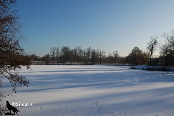 Étang gelé, couvert de neige où l’on voit des traces d’animaux. Ciel bleu.