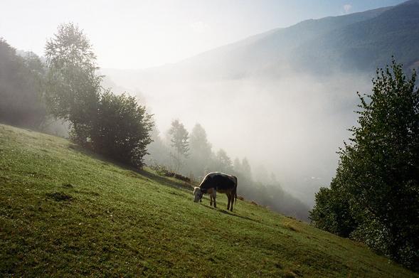 follow
 <a href="http://www.instagram.com/domewrong" rel="noreferrer nofollow">www.instagram.com/domewrong</a>